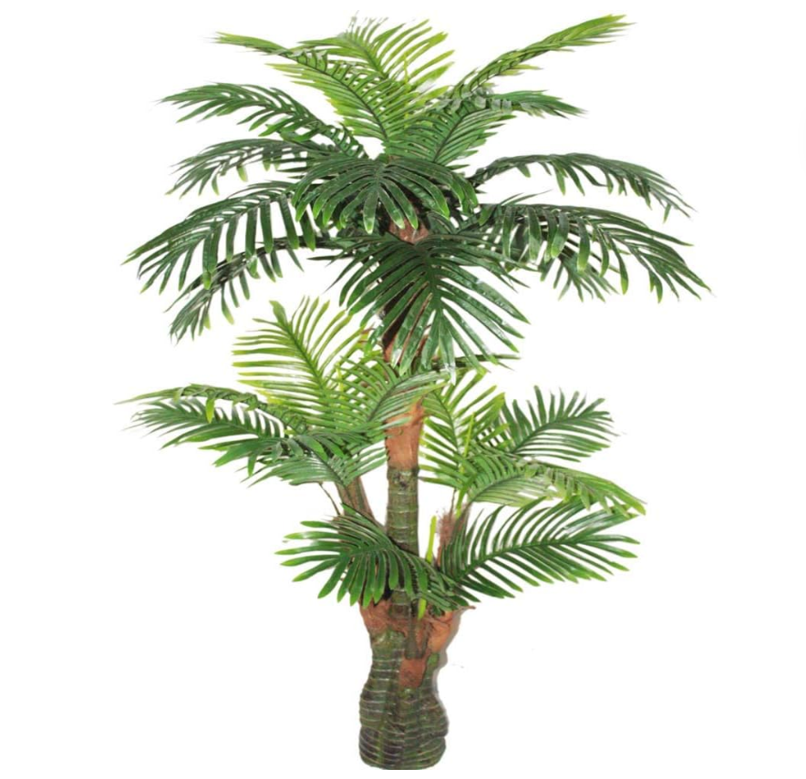 Decorative Palm Tree